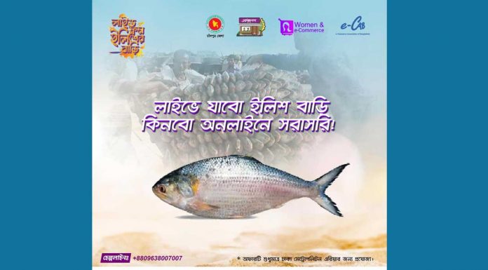 Hilsha fish, Bangladesh